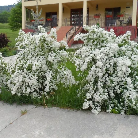 Penzion Casa Vero